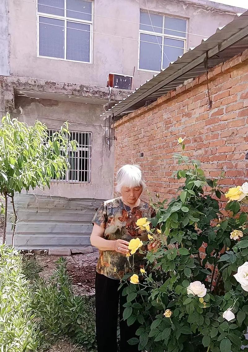 送长辈手捧花有什么特别含义？