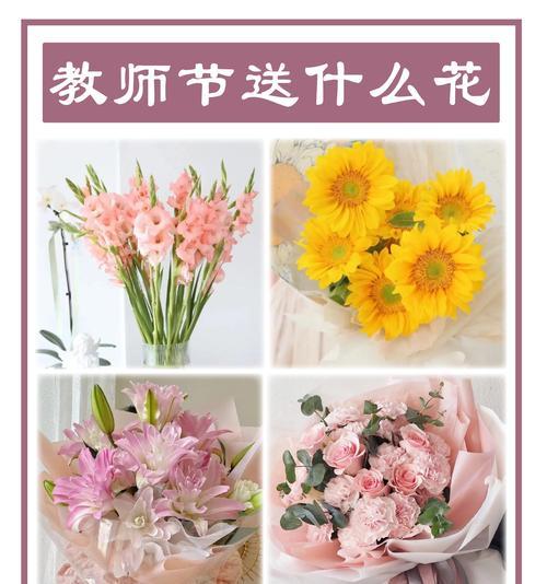 教师节送什么花最合适？花的寓意是什么？