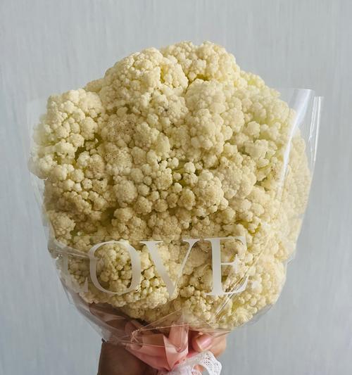 节节菜的花语是什么？节节菜象征着什么？