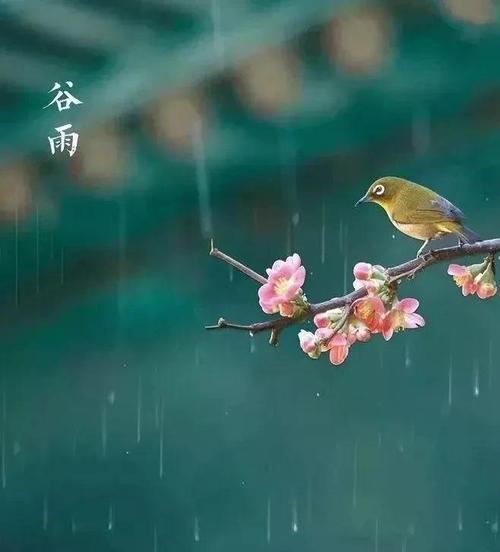 鬼节送四十枝花有什么寓意？这种传统习俗的含义是什么？
