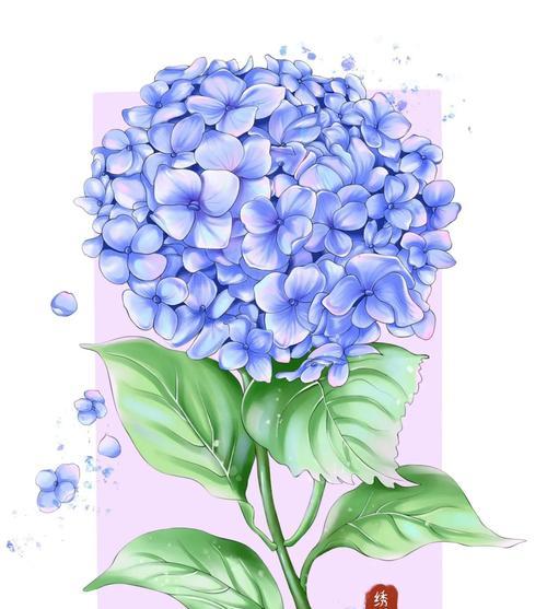 白色花象征光明和希望？如何选择合适的白色花卉？