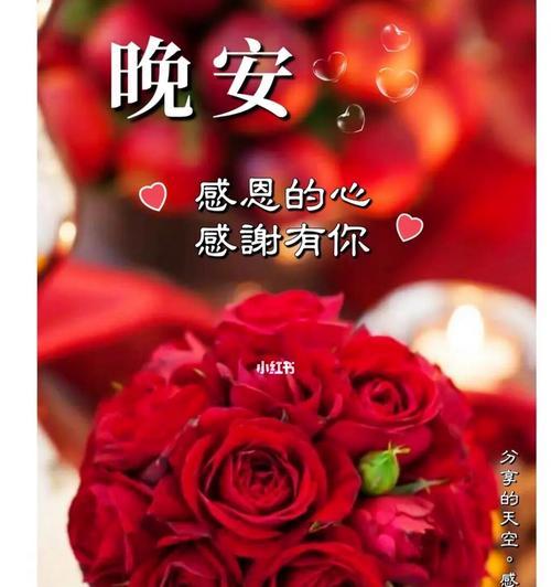 寓意愿你幸福的花是什么?如何用花表达祝福?