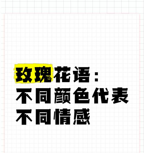 玫瑰花不同颜色代表什么？不同色玫瑰花的含义是什么？