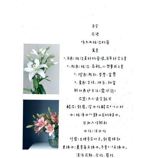 百合手捧花有何寓意？百合花语在婚礼中的意义是什么？