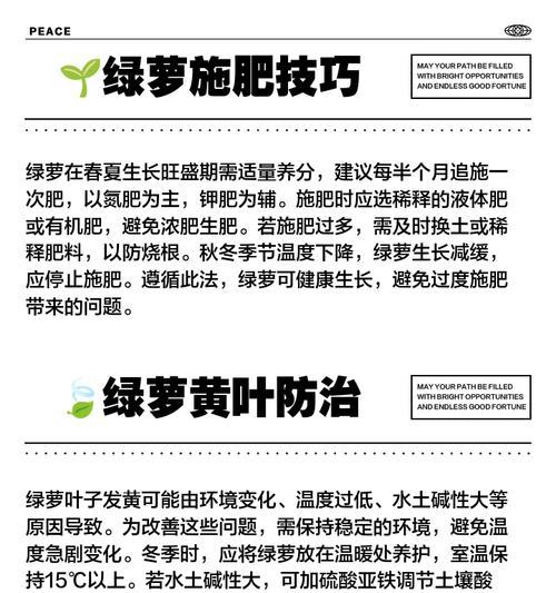 解决绿萝叶尖发黄问题的最全指南（绿萝照顾好了吗？）