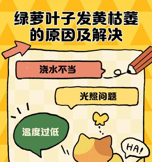 解决绿萝叶尖发黄问题的最全指南（绿萝照顾好了吗？）