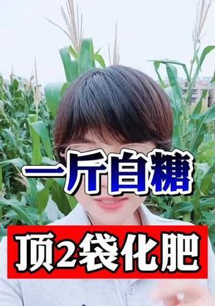 甘甜的肥料，让植物健康茁壮（甘甜的肥料，让植物健康茁壮）