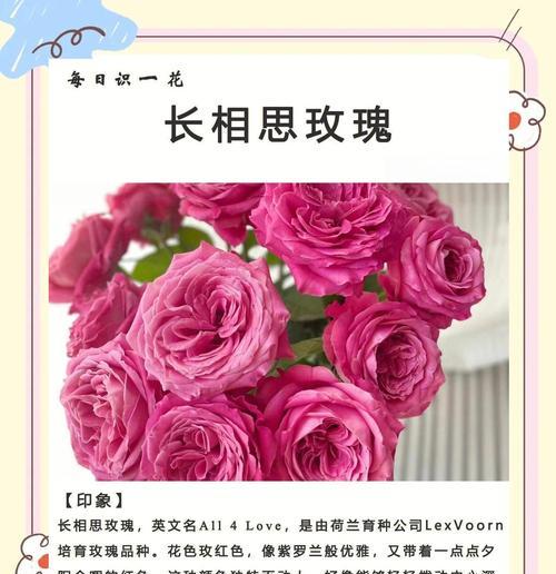 鸭脚木——喜阳植物还是阴凉植物？