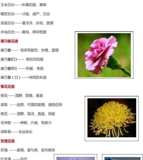 龙舌兰可以叶插吗？（了解如何正确地进行龙舌兰叶插）
