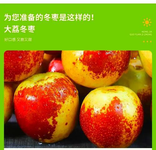 冬枣采摘时间及成熟月份详解(冬枣成熟时间表,采摘技巧与保存方法)