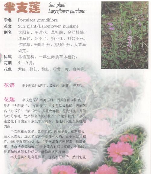 蓝苹果的养殖方法和养护要点