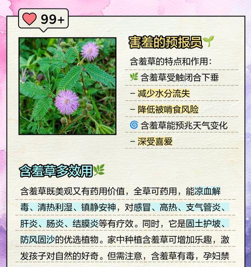 含羞草的奇妙世界（探索含羞草的特点和神奇表现）