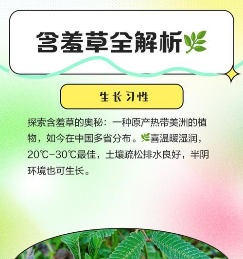 含羞草的奇妙世界（探索含羞草的特点和神奇表现）