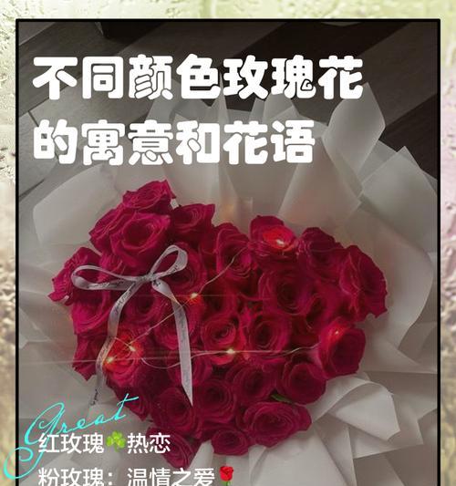 以玫瑰花的花语为主题的深情文章（传递爱的情感，玫瑰花的意义与表达）