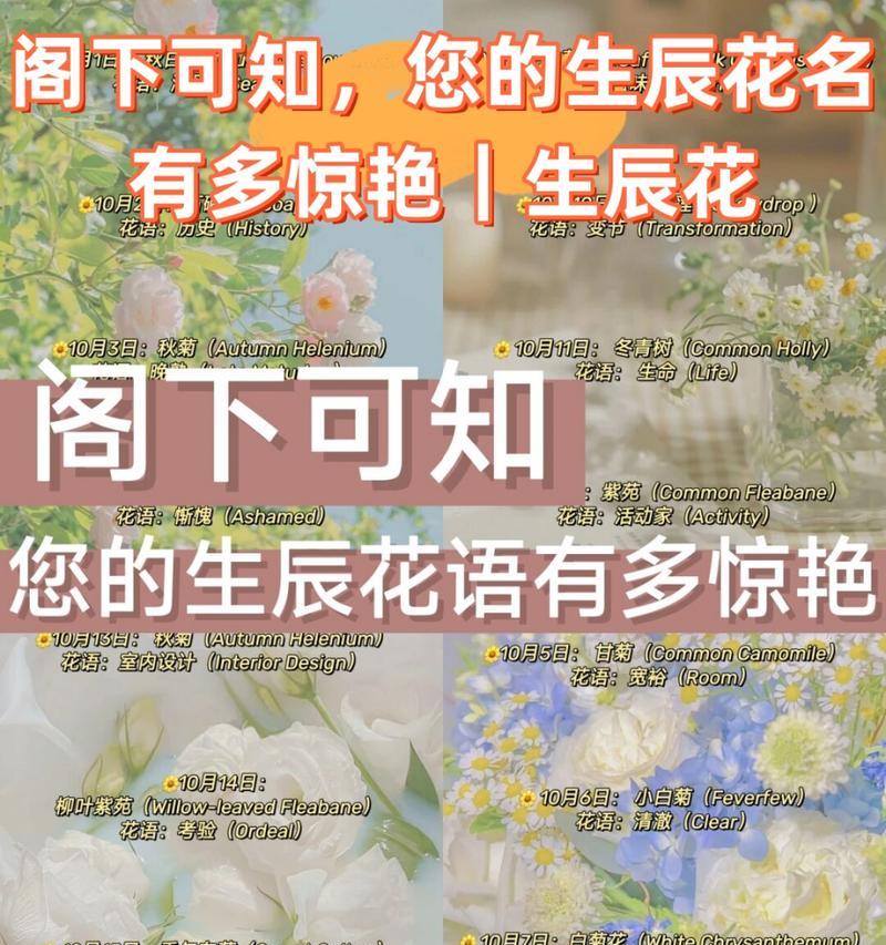 荷花花语（探寻荷花花语的深刻寓意）