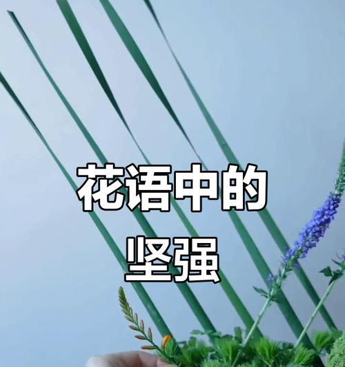 善良之花（百合花的象征意义与善良之美的探索）