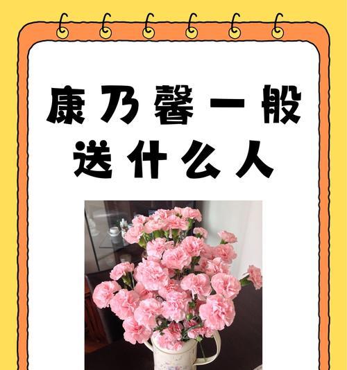 康乃馨（探索康乃馨的意义与象征）