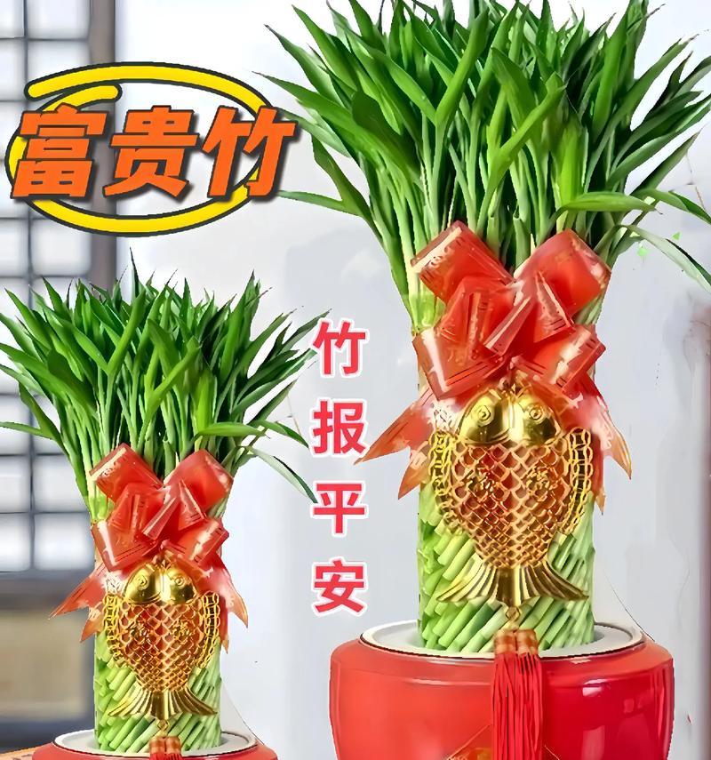 以富贵竹代表的象征与意义（揭秘富贵竹的吉祥寓意与文化价值）