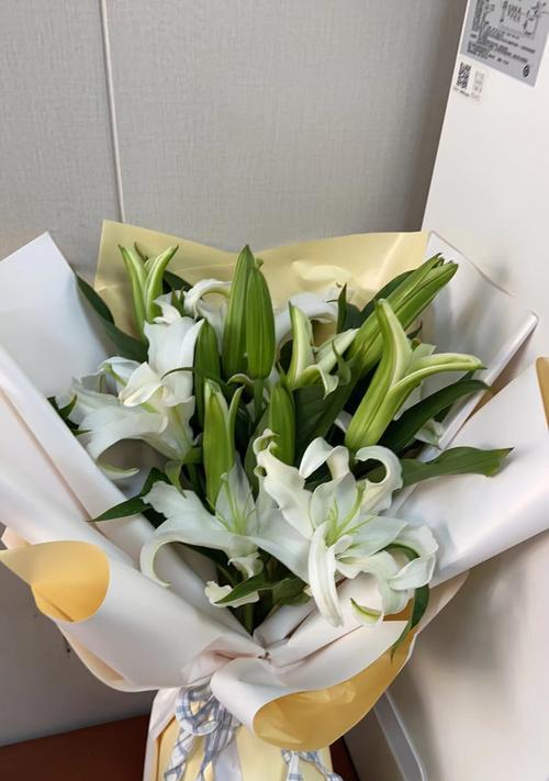 白百合花的意义与象征（以白百合花为代表的纯洁与优雅）
